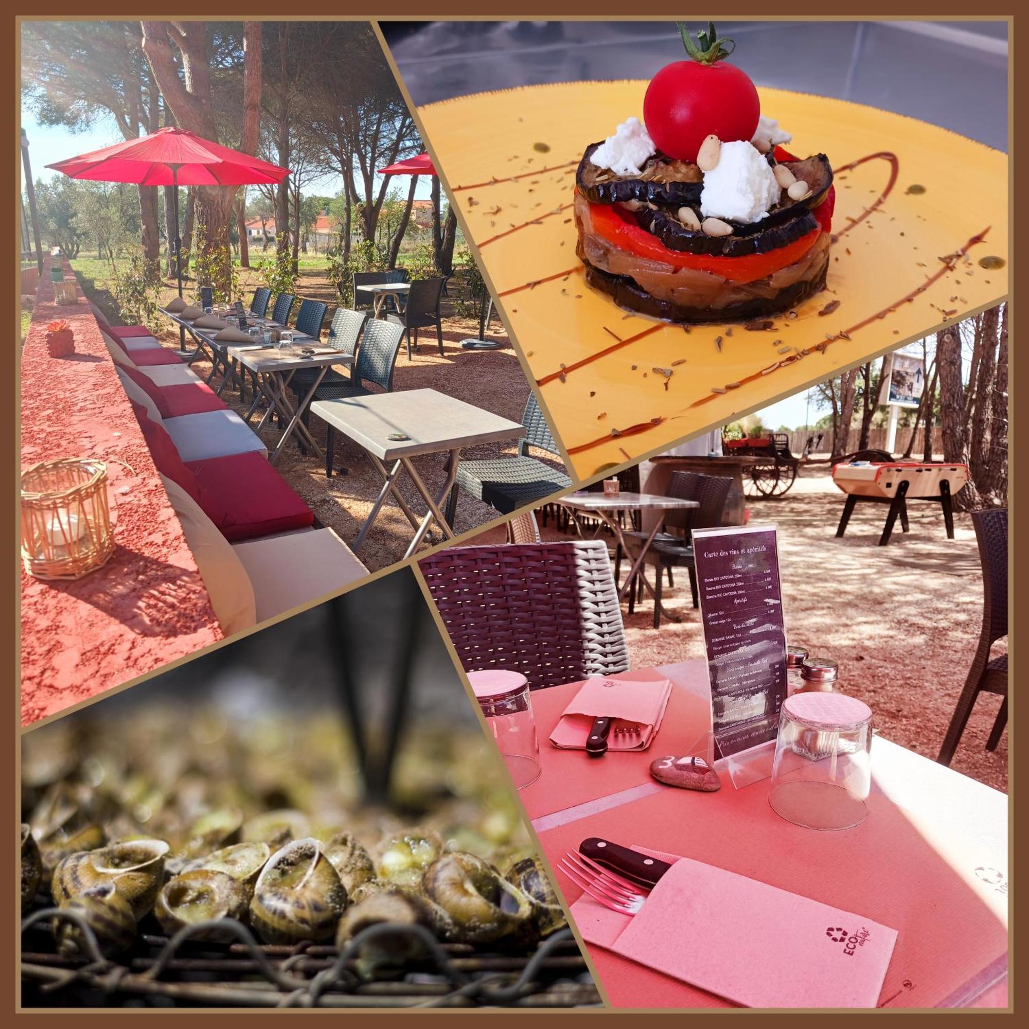 Mon Fare Apartment Argeles-sur-Mer Luaran gambar